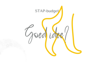 STAP-budget